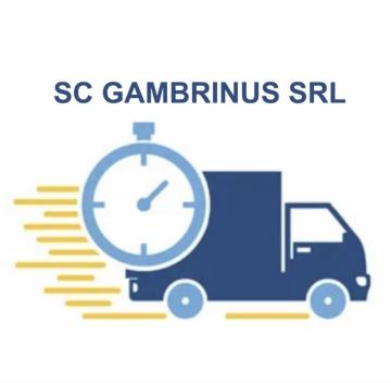 GAMBRINUS SRL